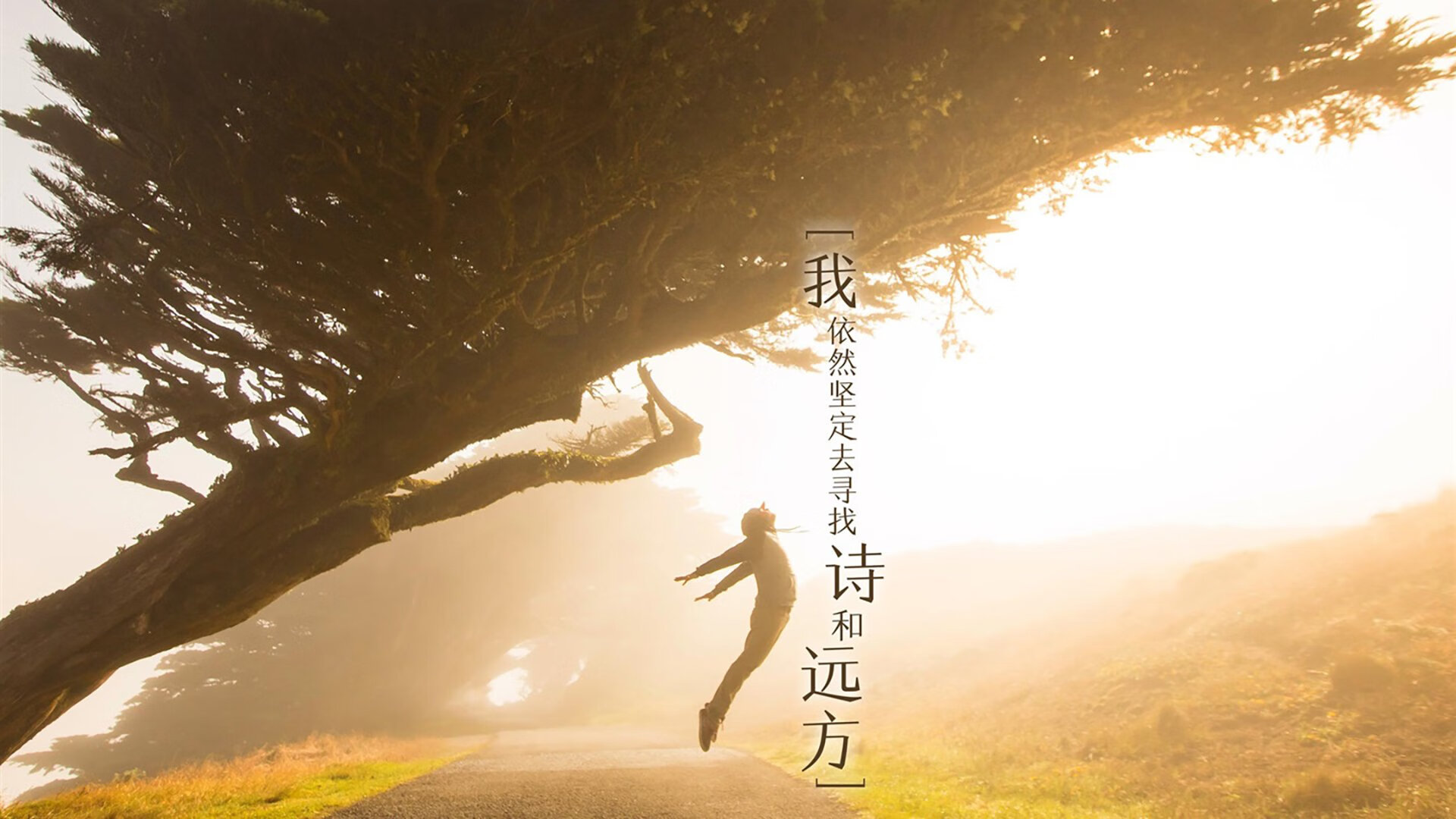 东契奇与导演合作推出篮球纪录片，聚焦梦想与现实，东契奇谈自己的篮球偶像