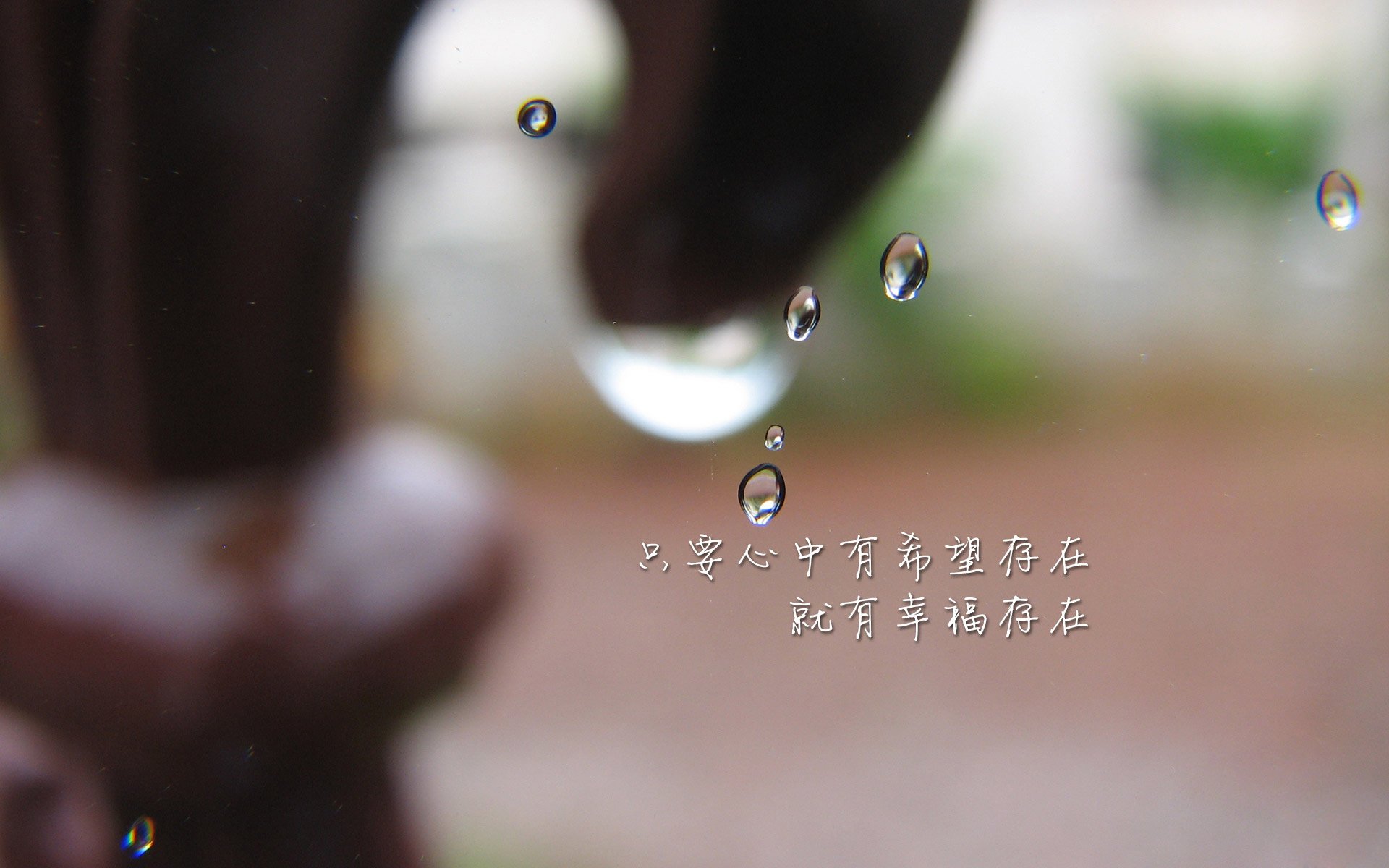世俱杯2025-现场氛围：球迷互动带来的火热气氛，足球球迷现场