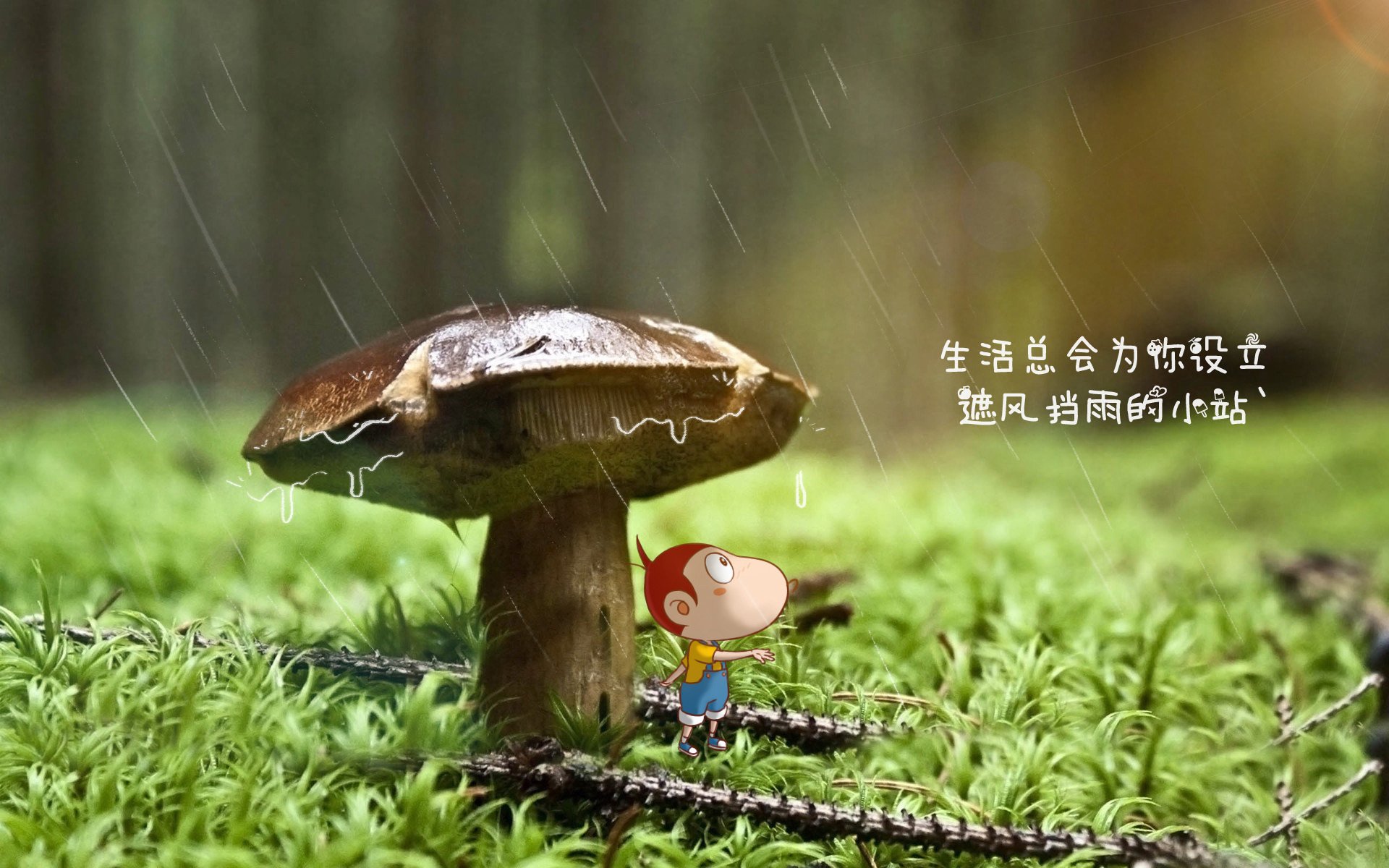 世俱杯2025赛程-上海上港客场不敌山东泰山，遗憾失利，上海上港对战