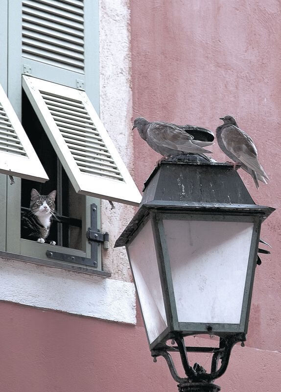 全北蔚山将展开双线作战挑战，全北和蔚山