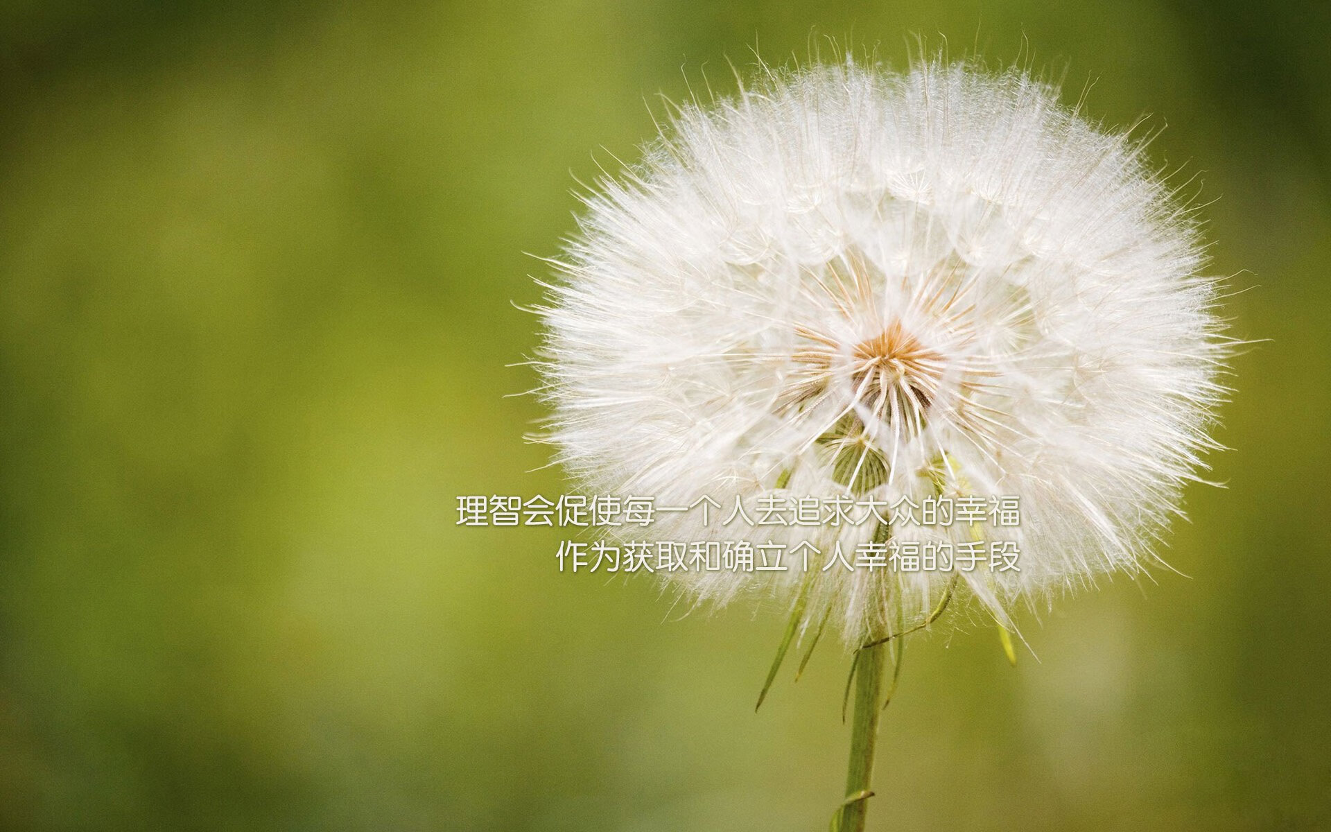 奥斯汀马刺季后赛目标明确，马刺连续22年季后赛终结
