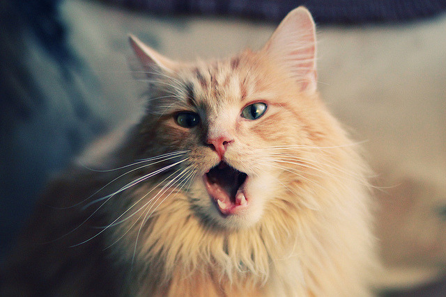 篮球运动员心理恢复训练方法及效果研究，篮球运动员心理训练计划