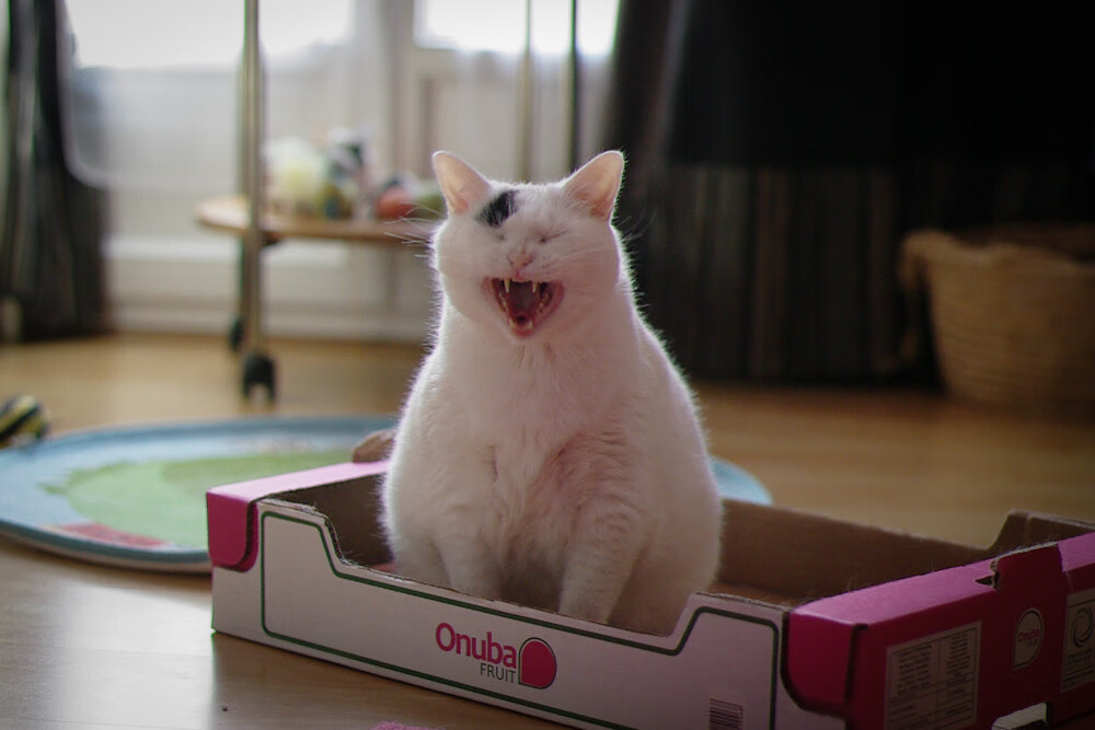 英超球队赛中运动负荷与技术表现关联分析,球员负荷管理