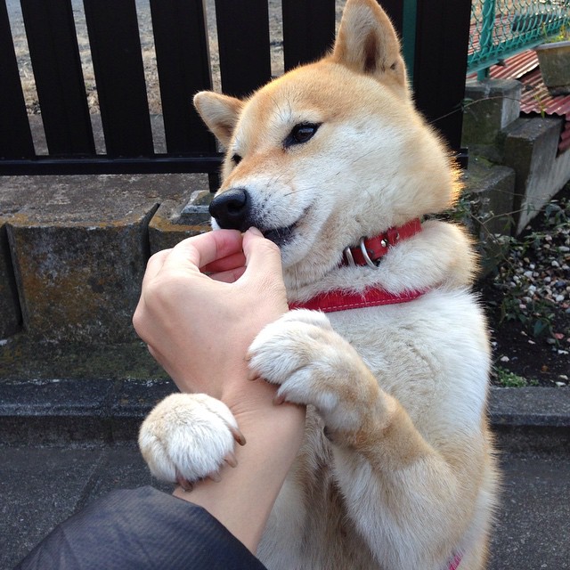 Chinese Taipei在2024年世界杯团体赛中的精彩角逐，2034世界杯中国