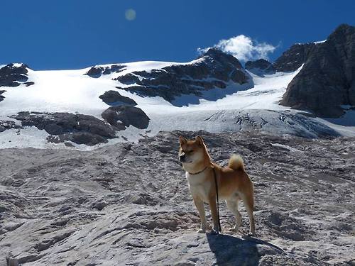 “高新体育中心羽毛球：快速反应与精准击球的完美展示”