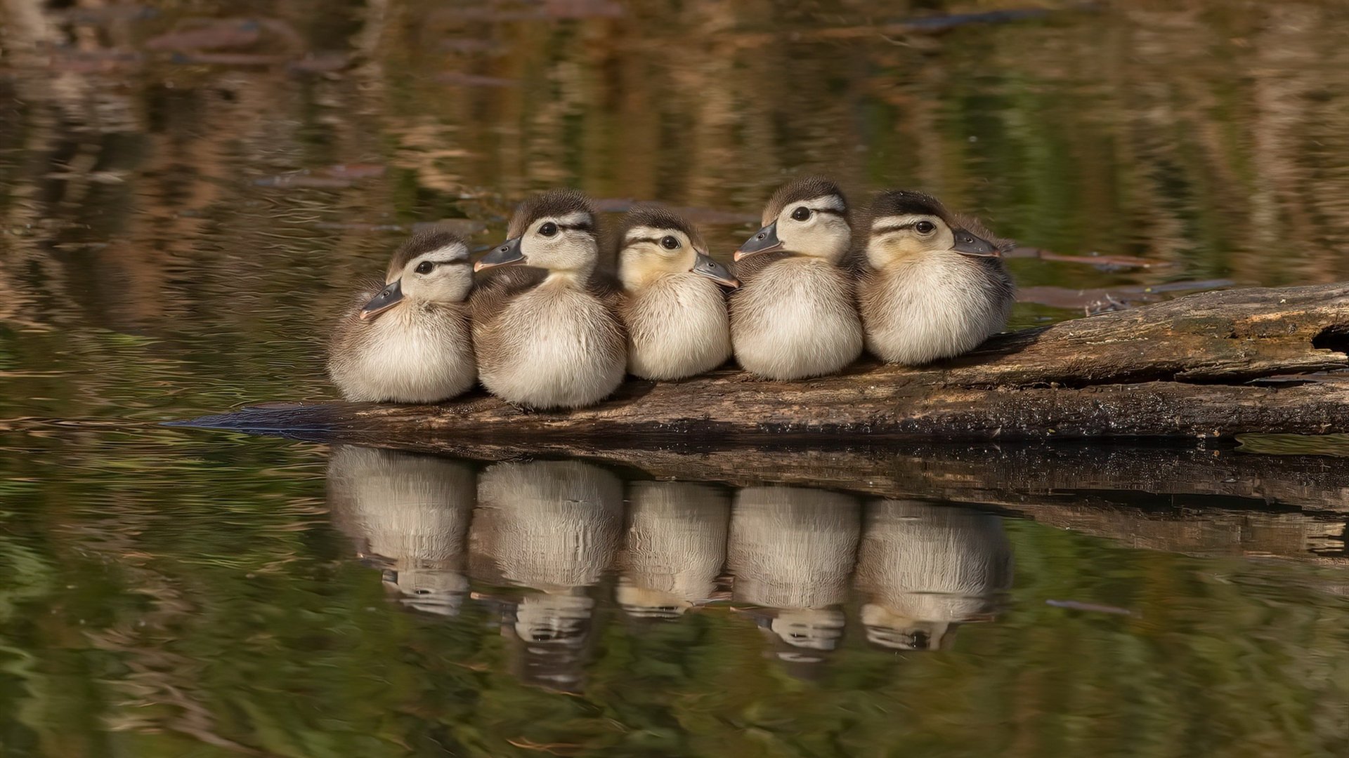 国家登山队启程挑战世界高峰，国家登山运动员